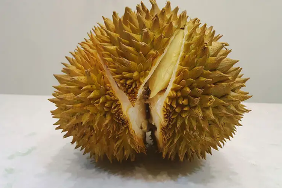 榴莲|没开口的榴莲要放几天才能熟