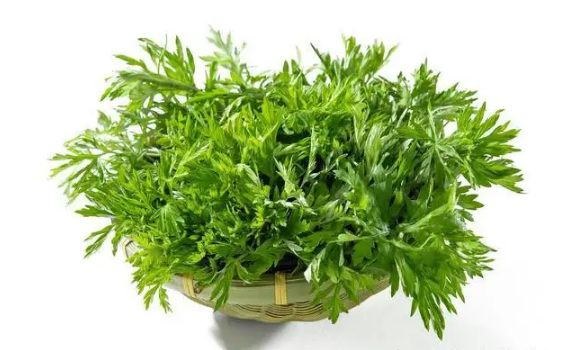 艾草|几月的艾草药用价值高