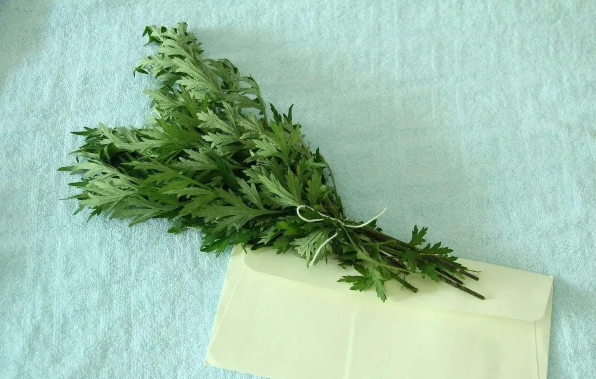 艾草|几月的艾草药用价值高