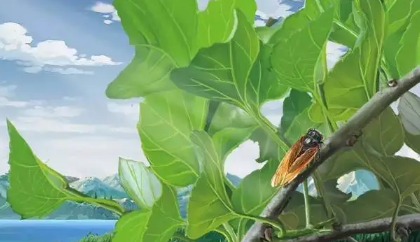 立秋|2022立秋有几个秋老虎