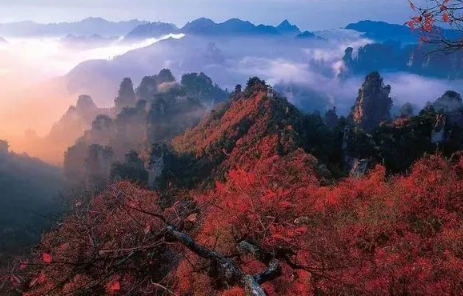 张家界|张家界自由行好还是跟团