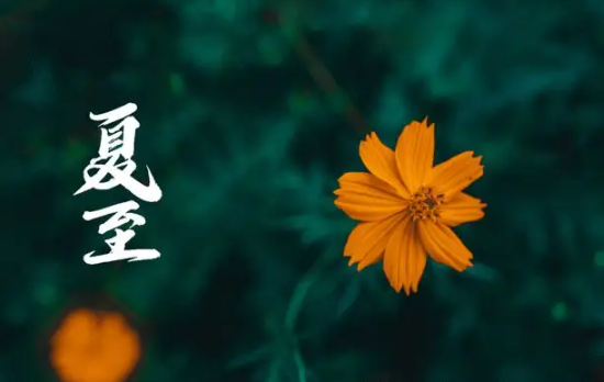 入伏|入伏是从哪个节气开始