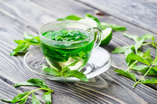 薄荷|湿气重的人可以喝薄荷叶泡水吗