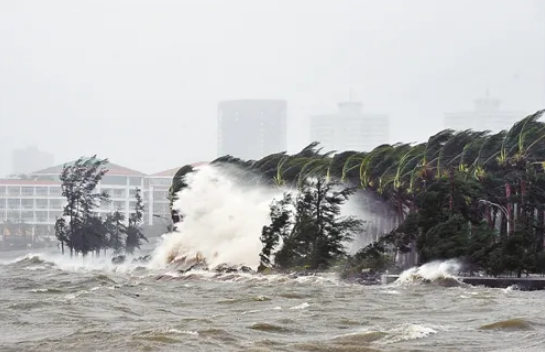 台风|2022年8月有台风吗