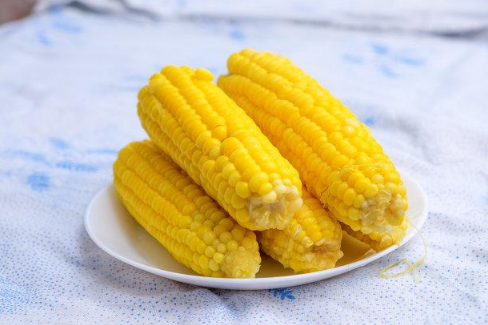玉米|甜玉米煮的时候要放盐吗