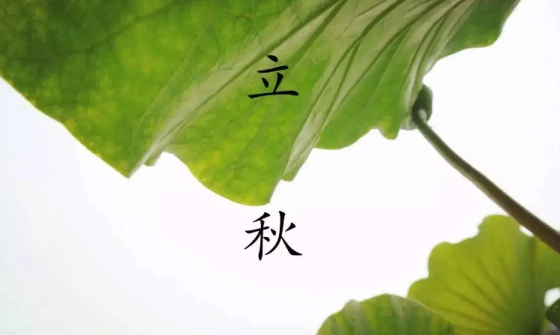 立秋|2022年立秋是几伏