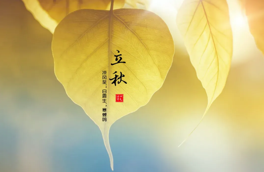 立秋|2022年立秋当天可以结婚吗