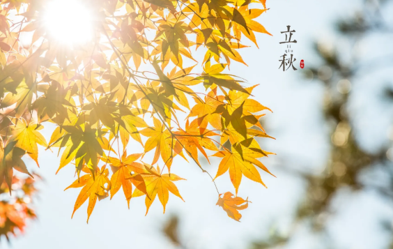 立秋|2022年立秋当天可以结婚吗