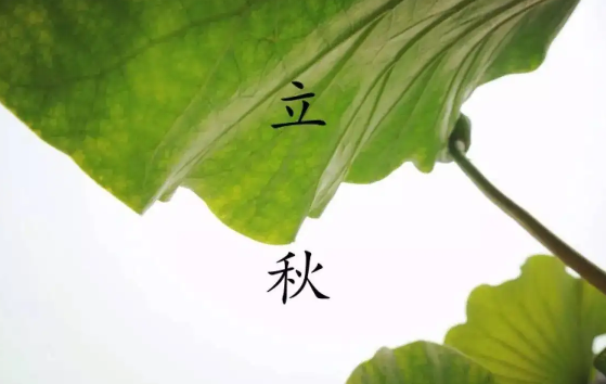 立秋|2022年立秋当天可以结婚吗