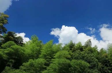 处暑|2022年处暑是哪天