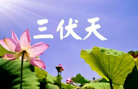三伏天|2022年三伏天热不热