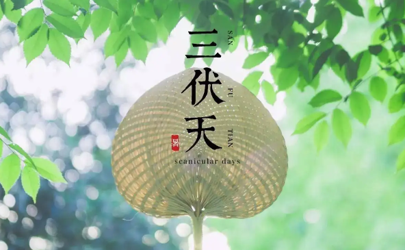 三伏天|2022年三伏天热不热