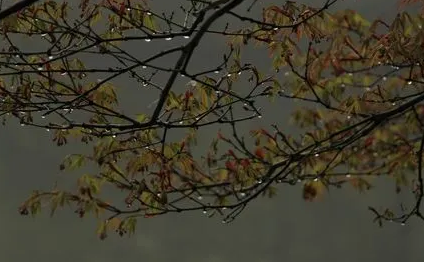 南方|2022年南方雨下到什么时候