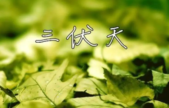进伏|2022进伏是哪一个节气开始