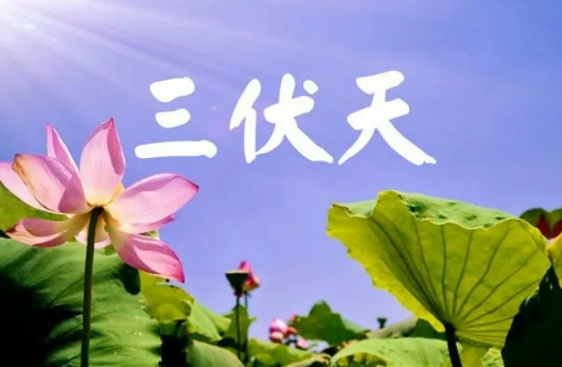 进伏|2022进伏是哪一个节气开始