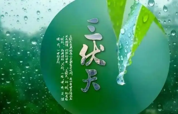 三伏天|2022年三伏天是公伏还是母伏