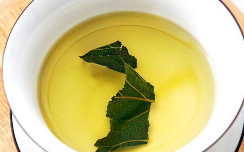 桑叶茶|桑叶茶又叫短命茶是什么意思