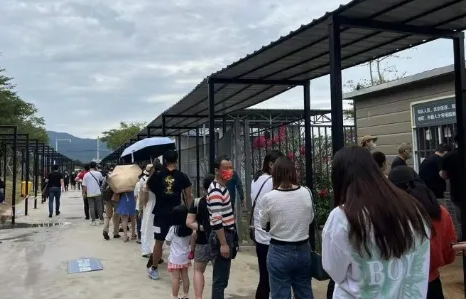 霍乱|霍乱一般多少天会治愈