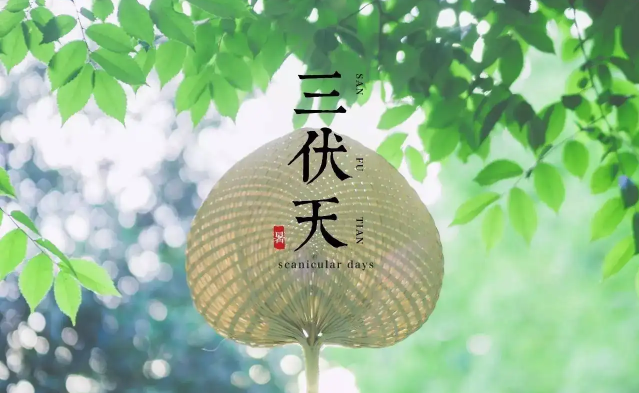 三伏天|2022年三伏天最高温度是多少