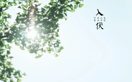入伏|2022年入伏是上午还是下午