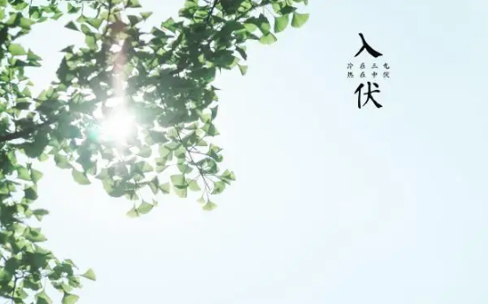 入伏|2022年三伏天几点入伏
