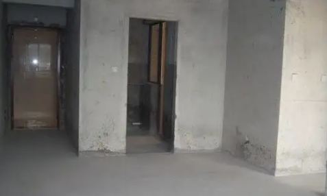 毛坯房|毛坯房要验房吗