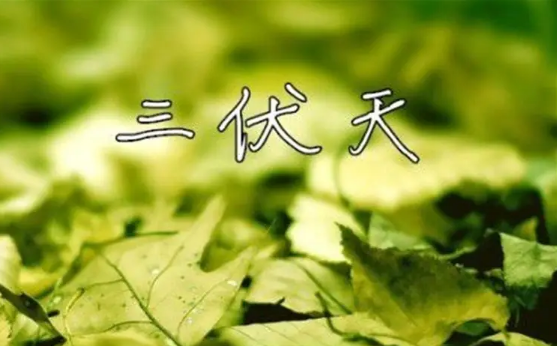 三伏天|2022年三伏天过了就不热了吗