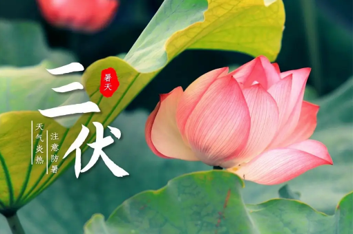 三伏天|2022年三伏天过了就不热了吗