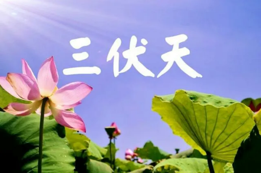 三伏天|2022年三伏天过了就不热了吗