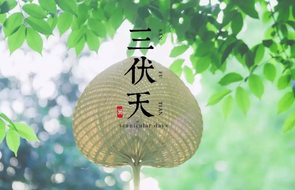 三伏天|2022年三伏天有闰伏吗