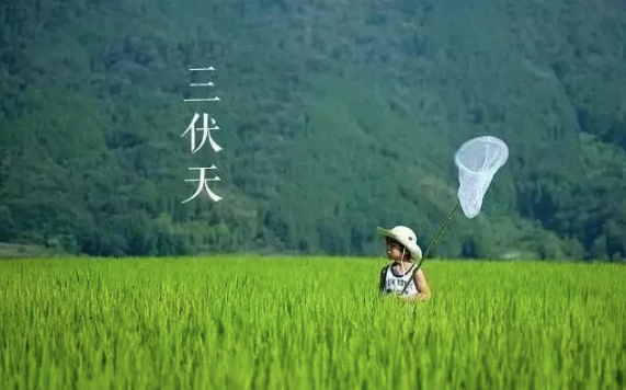 三伏天|2022年三伏天温度会很高吗