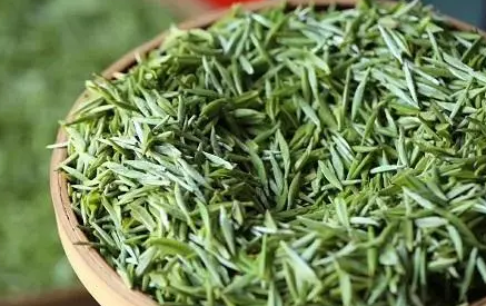 信阳毛尖|信阳毛尖茶泡出来浑浊好还是清好