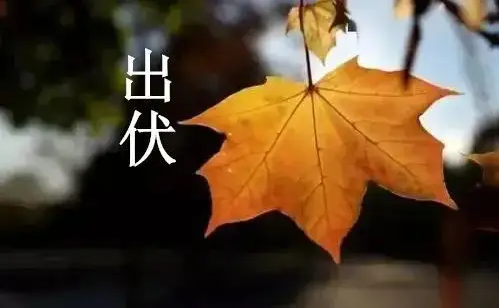 出伏|2022出伏是几月几号几点几分