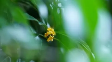 白露|2022白露过后还有大雨吗