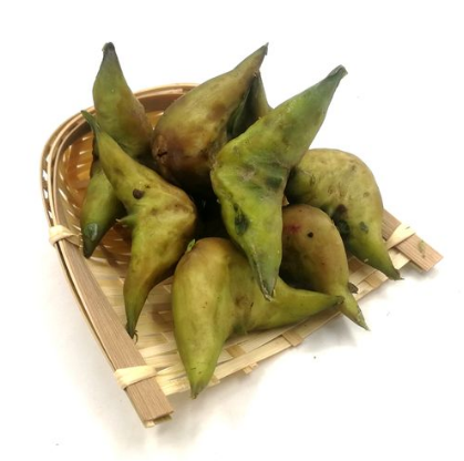 菱角|菱角生吃有寄生虫吗