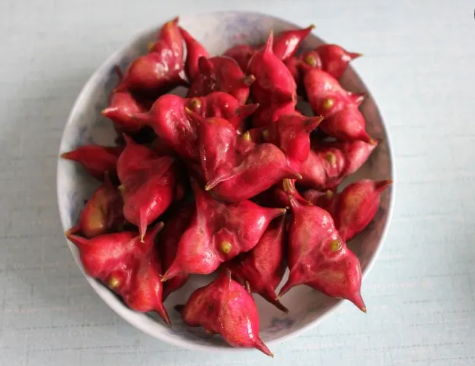 菱角|菱角煮完了发苦能吃吗