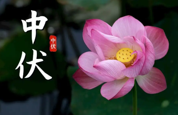中伏|2022中伏之后还热吗