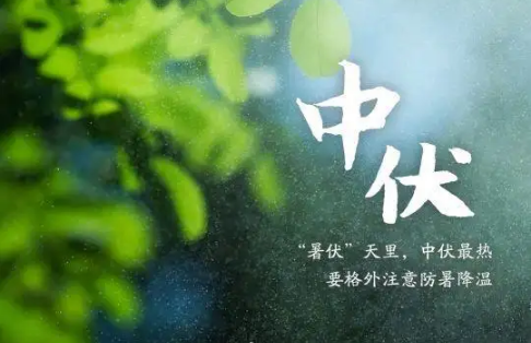 中伏|2022中伏过了就凉快了吗