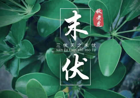 末伏|2022年末伏有几天