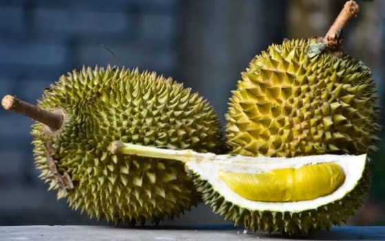 榴莲|榴莲怎么开不扎手不伤手