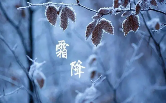 霜降|2022年霜降日子好不好