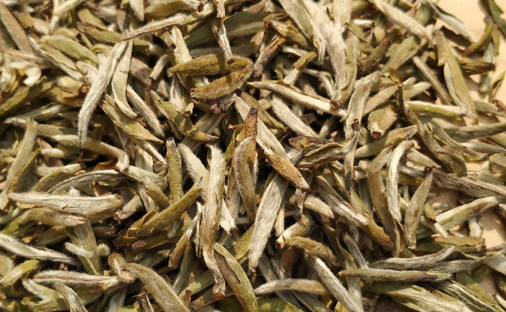 白毫银针|白毫银针新茶好还是老茶好