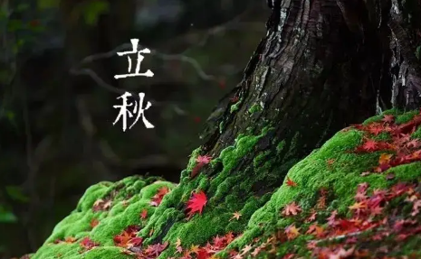 立秋|2022立秋东北就冷了吗