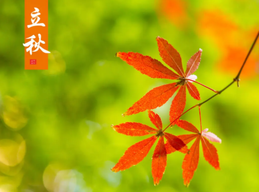 立秋|2022东北立秋后天气还热吗