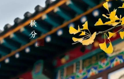 秋分|2022秋分过后昼短夜长吗