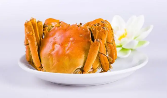 大闸蟹|8月份吃大闸蟹还是梭子蟹
