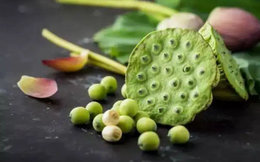 莲子|新鲜莲子和干莲子的功效一样吗