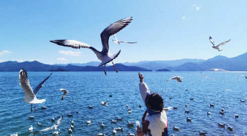 泸沽湖|泸沽湖千万不要去的地方是哪里
