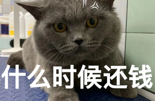 欠钱|朋友欠我2000块钱不还怎么办
