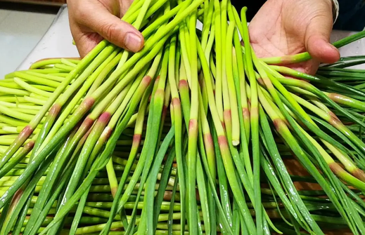蒜苔|蒜苔放冰箱不小心冻了还能吃吗